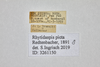 CollectionObject 1588577; 50b78a22-670f-4e0e-bedb-7be39906d106: labels. (CollectionObject).