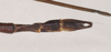 CollectionObject 1561631; NHMUK(SF IMPORT DUPLICATE) 845007, 6d908bde-6437-4ee8-8183-895f127ccbe0: copyright Natural History Museum, London. male: end of abdomen, dorsal view (holotype). (CollectionObject).