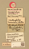CollectionObject 1516669; e5476570-eec4-4fcc-b50b-7e4db29ca79a, NHMUK013803957: labels (holotype). (CollectionObject).