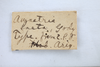 Other: !! display not done !! on Vanduzea laeta Goding, 1893: (Observation).