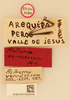 CollectionObject 1518061; f8b05ba8-dc0e-489f-a26d-c60e136ca92a, NHMUK015929436: labels (holotype). (CollectionObject).