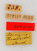 CollectionObject 1594216; 2b2f288e-e313-4e06-beef-f409fb68cb98: labels (syntype). (CollectionObject).