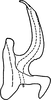 Aedeagus, lateral view on Erythridula verdana (Ross & DeLong, 1953): Aedeagus, lateral view. (Observation).