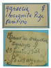 labels (paratype of Agraecia incognita). Depicts CollectionObject 1542895; DEES MZLQ-I0109'', c47299d7-cbd0-4b0c-9315-6b1074b71efe, a CollectionObject.