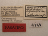 CollectionObject 1514668; MLP4141'', f0b2a038-4467-4c04-bd7b-64761fff6f7d: Image Cigliano, M.M. labels (paratype). (CollectionObject).