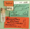 CollectionObject 1501120; df0a4123-1975-493d-a3ae-169080775fc6, MfN 1755: labels (syntype). (CollectionObject).