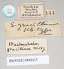 CollectionObject 1559451; NHMUK(SF IMPORT DUPLICATE) 844623-626, 3634f3ca-e221-45d4-984f-9b63a255aa78: copyright Natural History Museum, London. male, data labels (syntype). (CollectionObject).