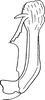 Aedeagus, lateral view on Aphilaenus ikumae (Matsumura, 1915): Aedeagus, lateral view. (Observation).