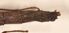 CollectionObject 1561454; 23e893d9-9a73-41bd-bcdb-62c55e4010cc: copyright OUMNH. female: end of abdomen, dorsal view (syntype). (CollectionObject).;CollectionObject 1561455; d4690fb8-82db-4776-a5e6-00b5fb32a05f: copyright OUMNH. female: end of abdomen, dorsal view (syntype). (CollectionObject).