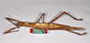 CollectionObject 1559887; 74134ed5-ba71-4aea-98fd-17ae53c90090: copyright ZMHB, Berlin. female, lateral view of synonym Monandroptera parallela (holotype). (CollectionObject).