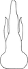 Aedeagus, ventral view on Arboridia (Arboridia) hussaini (Ghauri, 1963) now Arboridia (Arboridia) kermanshah (Dlabola, 1963): Aedeagus, ventral view. (Observation).