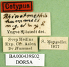 CollectionObject 1501893; f060c4e7-1c18-4ac9-ac5c-9c3627815b68: labels (paratype). (CollectionObject).