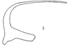 Aedeagus, lateral view: Aedeagus, lateral view. (Observation).