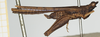 CollectionObject 1520715; 8ae6591d-52aa-4a70-8826-66921751bb27, NHMUK010924478: female, lateral view (syntype). (CollectionObject).