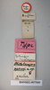 CollectionObject 1552810; NHMUK(SF IMPORT DUPLICATE) BMNH(E) 877060, 7767ac25-e7c2-49cd-84e3-45ad6bc306d5: Copyright NHM, London. Holotype female, data labels. (CollectionObject).