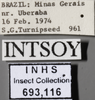 Other: !! display not done !! on Bucephalogonia xanthophis (Berg, 1879): Labels - green. Labels for specimen that has a light greenish tint. (Observation).