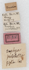 labels. Depicts CollectionObject 1532992; 28537e2c-bfbe-4e6e-96ae-9adefc9bd5ff, a CollectionObject.