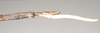CollectionObject 1558917; 9c710c20-6f8d-45f0-a2c6-e103d0ce7dd5: copyright Natural History Museum, London. female: end of thorax, lateral view of synonym Haplopus ligia (paralectotype). (CollectionObject).;CollectionObject 1558918; 91108cc7-f465-4d69-b42c-18b503e87bf5: copyright Natural History Museum, London. female: end of thorax, lateral view of synonym Haplopus ligia (paralectotype). (CollectionObject).