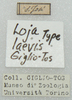 CollectionObject 1543483; 71a123fa-bb32-48e6-8d93-84eb6d85b8dd: labels (holotype). (CollectionObject).