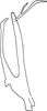 Aedeagus, lateral view: Aedeagus, lateral view. (Observation).