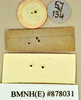 Megazosteria patula (Walker, 1868): Holotype, unsexed, labels, reverse. BMNH(E)#878031. (Otu).