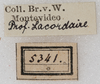 labels. Depicts CollectionObject 1566593; NMW 5341, c17a3797-a41c-45be-ba92-fdb0cce8f145, a CollectionObject.