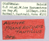 labels (holotype, allotype label erroneous). Depicts CollectionObject 1499472; 06991e63-b93d-4848-a3ba-eb91323316ba, a CollectionObject.