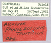 CollectionObject 1499472; 06991e63-b93d-4848-a3ba-eb91323316ba: labels (holotype, allotype label erroneous). (CollectionObject).
