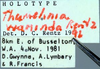 CollectionObject 1504238; 4de84338-24e3-4165-931c-9356868816b3: male label (holotype). (CollectionObject).