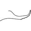 Pygofer appendages on Empoasca (Empoasca) dorsodenticulata Yu & Yang, 2014: Pygofer appendage. (Observation).
