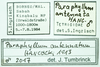 CollectionObject 1584422; c118463e-e7da-4a2d-a8e5-1d1bb2fa6b8f: labels. (CollectionObject).