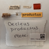 Other on Oecleus productus Metcalf, 1923: (Observation).