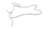 Rhachicreagra obsidian Jago & Rowell, 1981: Fig. 15. male left cercus, lateral view. (Otu).
