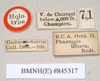CollectionObject 1558986; 0c8a6eff-4dce-4812-9bfd-ef67ba0b7b25: copyright Natural History Museum, London. female, data labels (holotype). (CollectionObject).