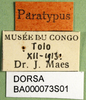 CollectionObject 1589512; d3b99770-6c14-4ecb-8aa5-e91091b5fef3, DORSA BA000073S01: labels (paratype). (CollectionObject).