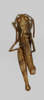 CollectionObject 1528779; 8db1dfe7-2def-47eb-9d84-d01999b68e5d: male, dorsal view (holotype). (CollectionObject).