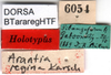 CollectionObject 1500502; 70a468f2-3e35-4d34-991f-794dc67b49fd, DORSA BTararegHTF: labels (holotype). (CollectionObject).