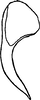 Anal tube processes: Anal tube process. (Observation).