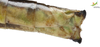 CollectionObject 1861678; Unioeste Cascavel SAOP-131F, 591439cf-cd73-429a-b911-be25eeca2d87: Female. End of abdomen, lateral view. (CollectionObject).