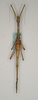CollectionObject 1562025; 93bb3eb7-2d67-47e1-b92d-928e07fa2bc3: copyright ANIC, Canberra. female (paratype). (CollectionObject).;CollectionObject 1562026; 82becf04-55d0-4b8a-af82-e8859489fee6: copyright ANIC, Canberra. female (paratype). (CollectionObject).