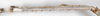CollectionObject 1563484; 1c50b8bd-9354-47c4-b200-7ba4bb66c162: copyright Natural History Museum, London. female, mid tibia (holotype). (CollectionObject).