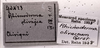 CollectionObject 1526823; 6ba23ba4-8f5e-4a1f-a5d3-c0ecb582c71b: Image C.S. Carbonell. labels. (CollectionObject).