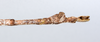 CollectionObject 1560977; ff965729-b76d-4ab9-8a46-f7c1ecbe92c4: copyright ZMUH, Hamburg. male: end of abdomen, ventral view (holotype). (CollectionObject).