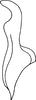 Stylus: !! display not done !! on Dorycephalus hunnorum Emeljanov, 1964: dorsal view. (Observation).