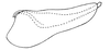 Pygofer, lateral view on Polana (Culumana) torqua (DeLong & Freytag, 1972): Male: pygofer, lateral view. (Observation).