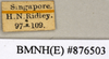 CollectionObject 1573036; 00cd8d87-0561-4436-8d4c-387b65c285c3: Copyright Natural History Museum, London. Labels from non-type (adult female) in BM(NH). (CollectionObject).