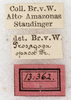 CollectionObject 1475842; NMW 13362, 5aae5791-0d66-49de-bb6a-5cc8099043e6: labels (holotype of Prosagoga opaca). (CollectionObject).