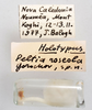 CollectionObject 1538195; ac9e4d28-d774-4b30-b540-1f70b4863b69: labels (holotype). (CollectionObject).