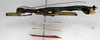 CollectionObject 1558277; NMW 249', 0ad72fe3-5666-4ec9-b08b-4e3f56f7a392: copyright NMW. male, lateral view (syntype). (CollectionObject).