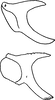 Pygofer appendages on Empoascanara (Empoascanara) mai Dworakowska, 1992: Pygofer dorsal appendage. (Observation).